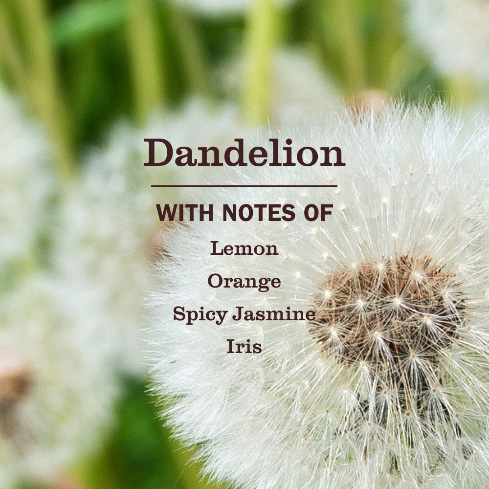 Dandelion Plug In Scented Oil Refill, 2-Pack - View 4