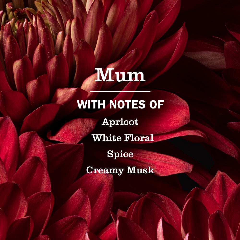 Mum Room Freshener - View 4