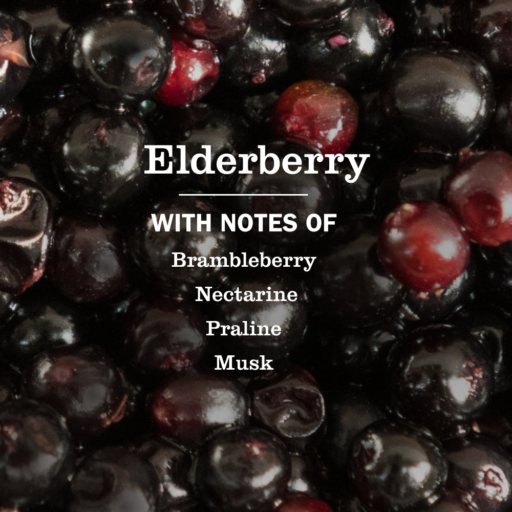 Elderberry Liquid Hand Soap - View 4