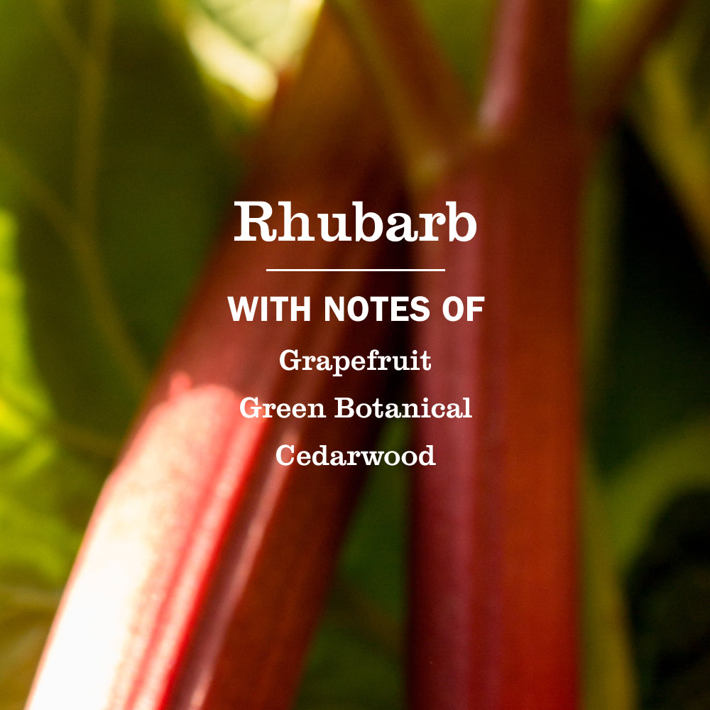 Rhubarb Liquid Hand Soap - View 4