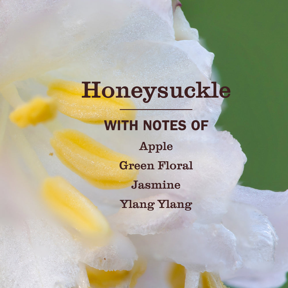 Honeysuckle Laundry Detergent - View 3