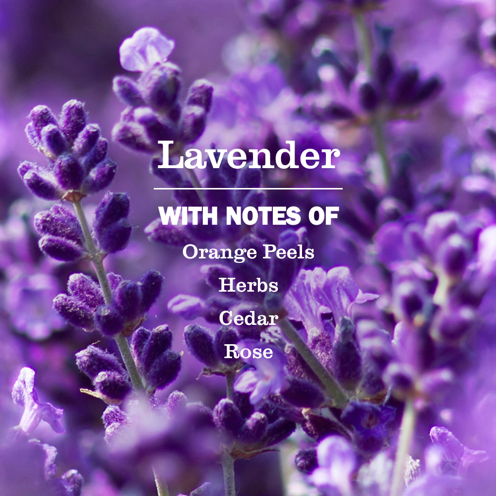 Lavender Liquid Hand Soap Refill - View 4
