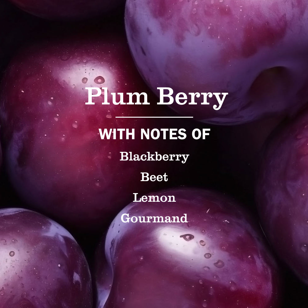 Plum Berry Liquid Hand Soap - View 4