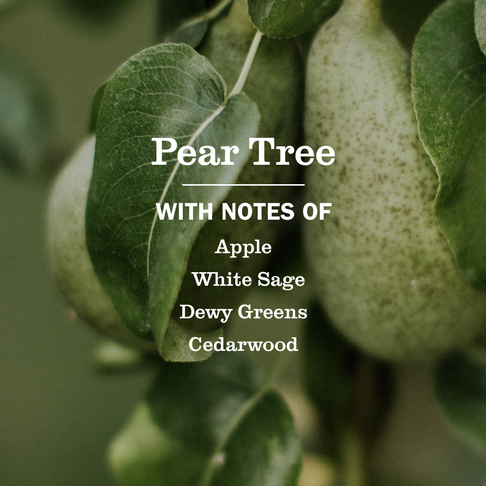 Pear Tree Dish Soap - View 4