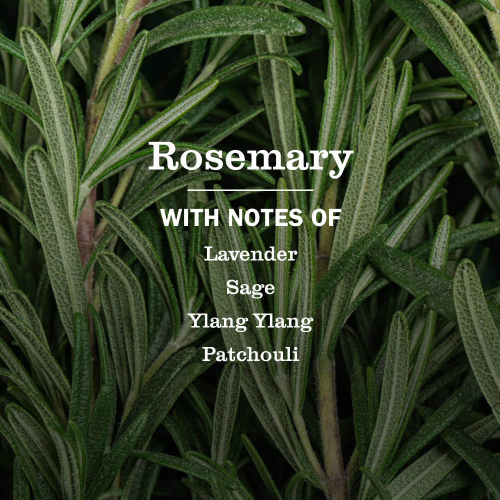 Rosemary Multi-Surface Everyday Cleaner - View 4