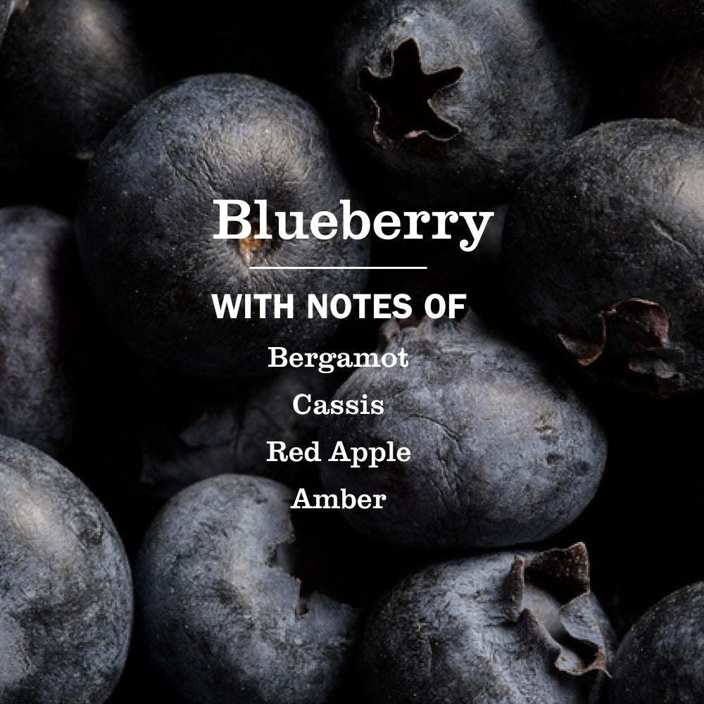 Blueberry Dish Soap - View 4