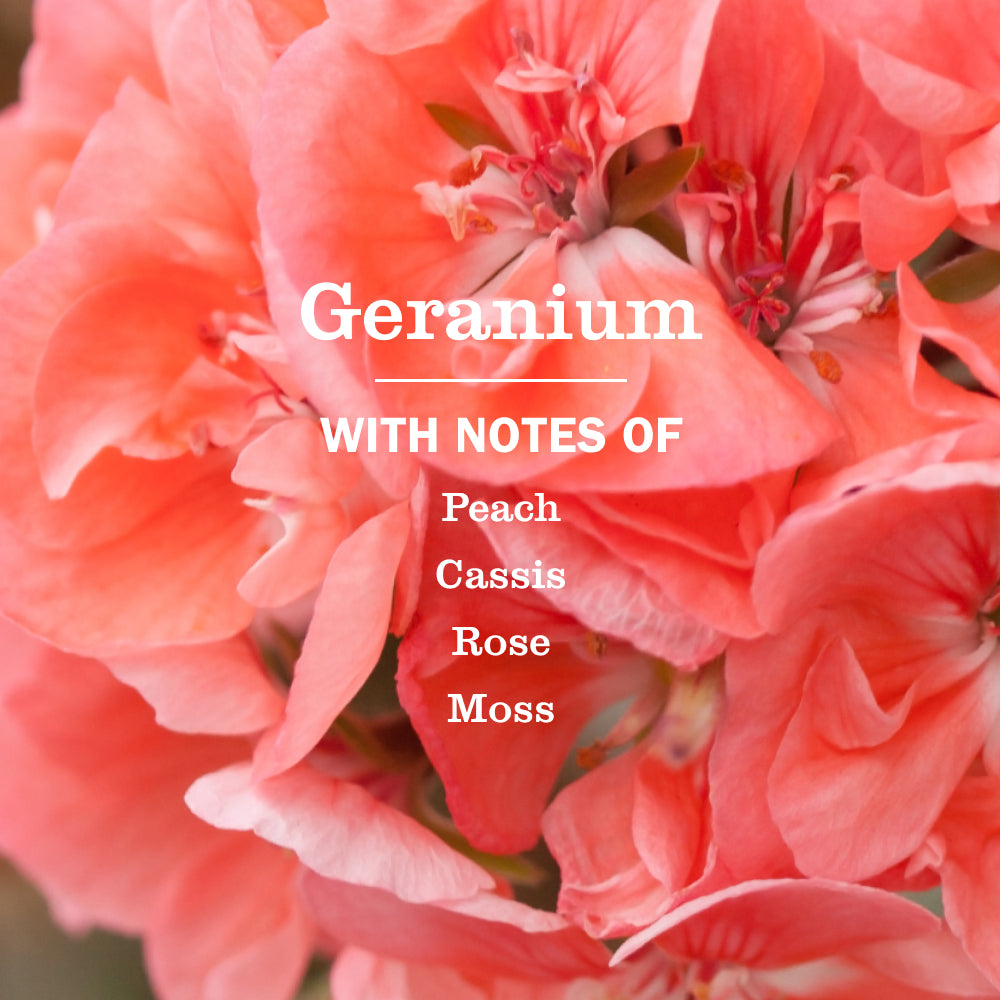 Geranium Liquid Hand Soap - View 4