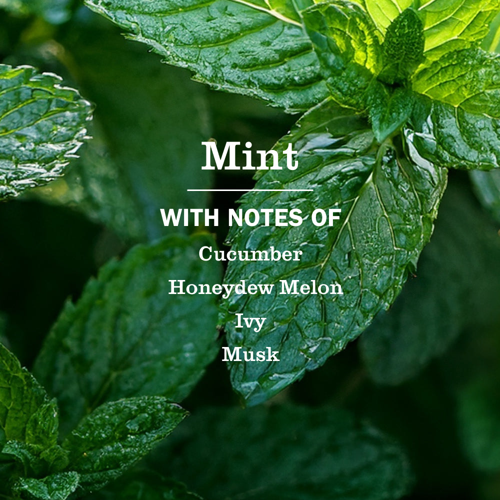 Mint Room Freshener - View 4