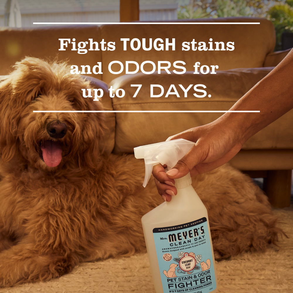 Coconut Leaf Pet Stain & Odor Fighter - View 4