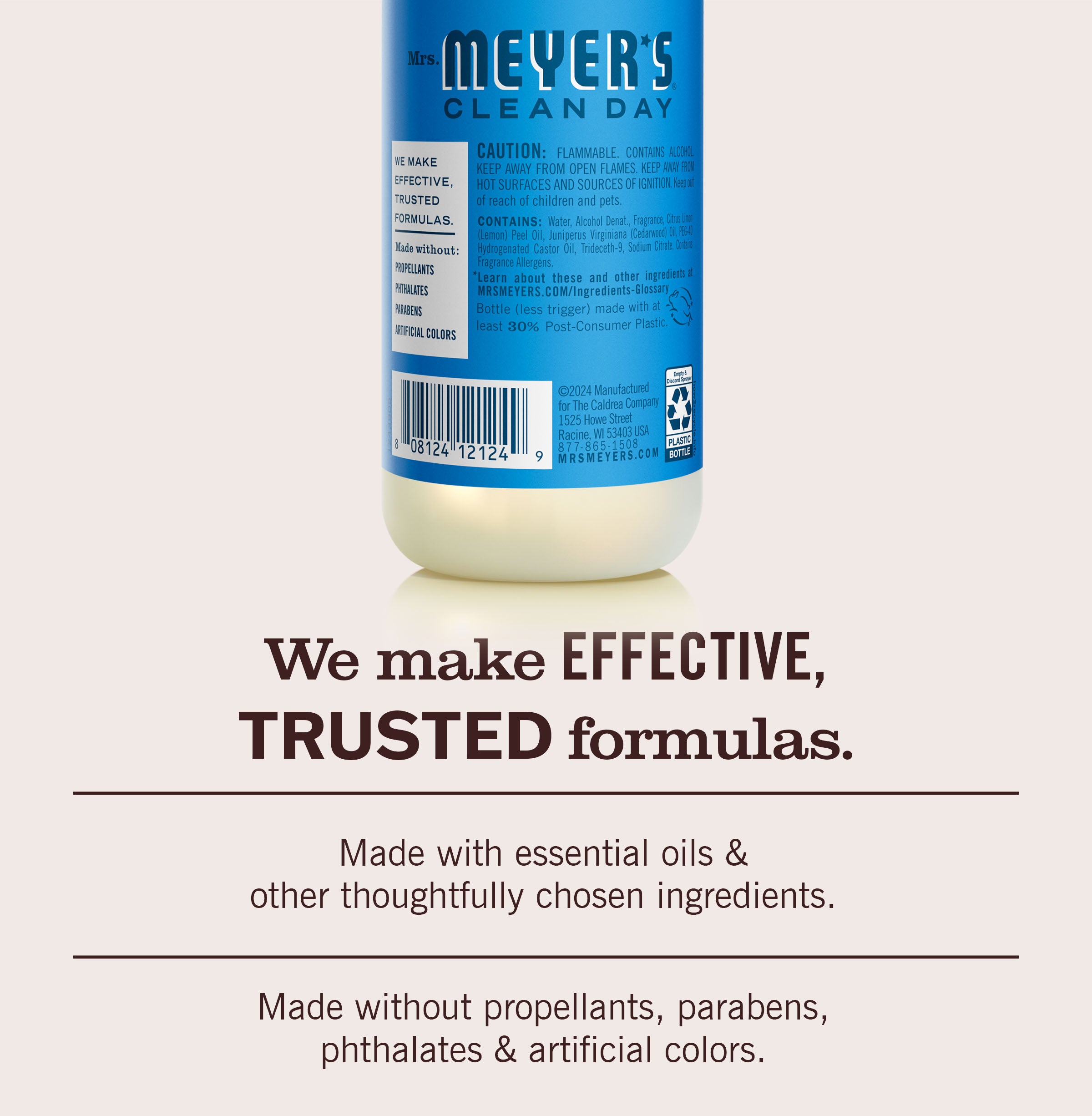 Blueberry Room Freshener - View 6