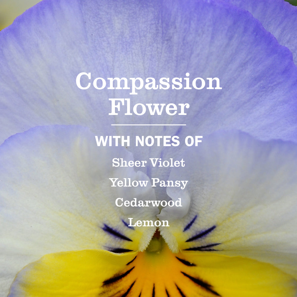 Compassion Flower Kitchen Basics Set - View 4