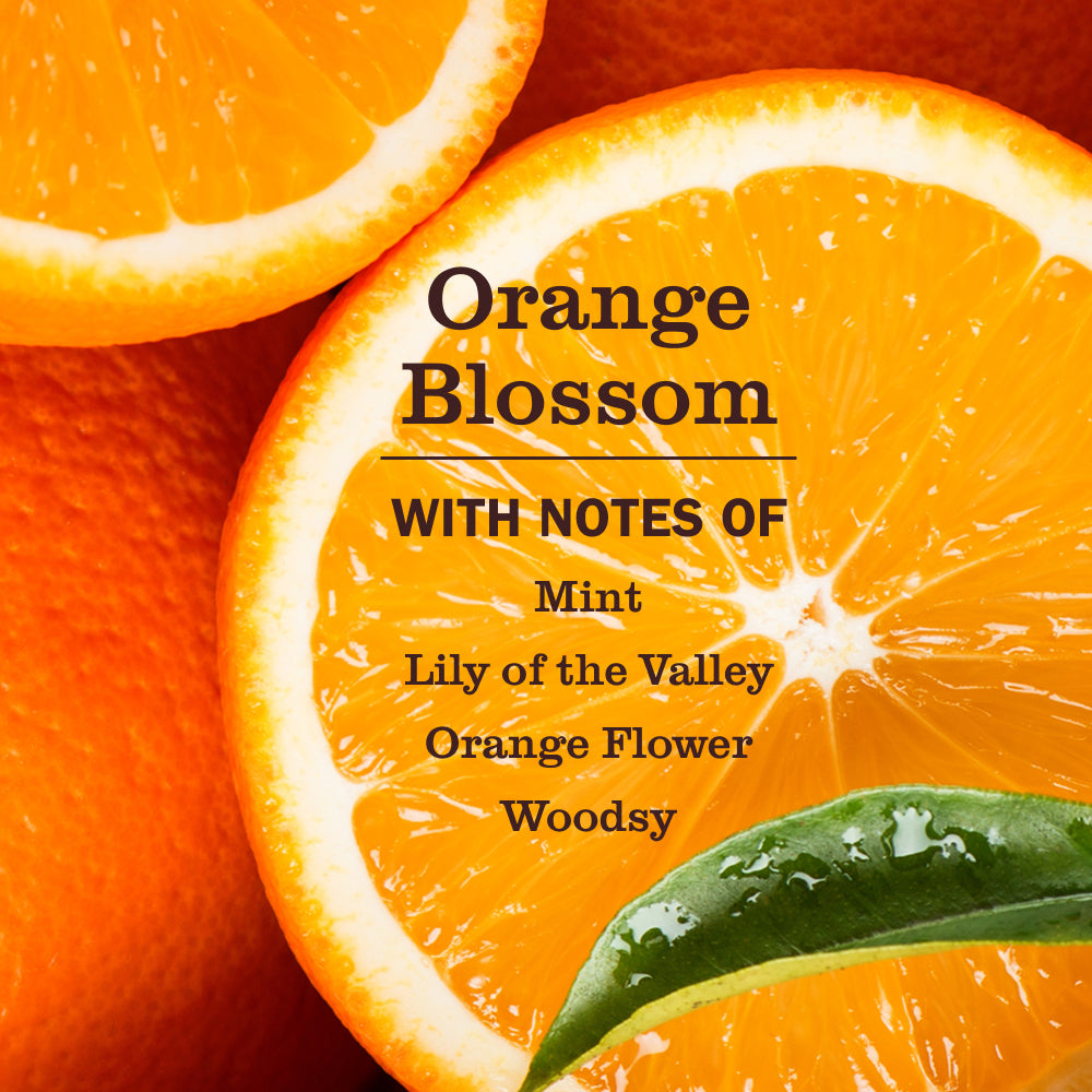 Orange Blossom Pet Multi-Surface Cleaner - View 3