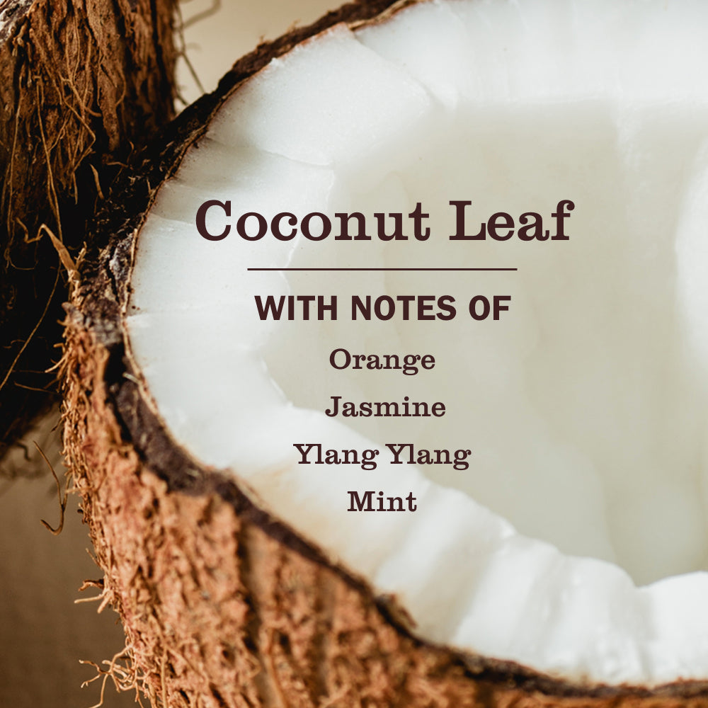 Coconut Leaf Pet Multi-Surface Cleaner - View 3