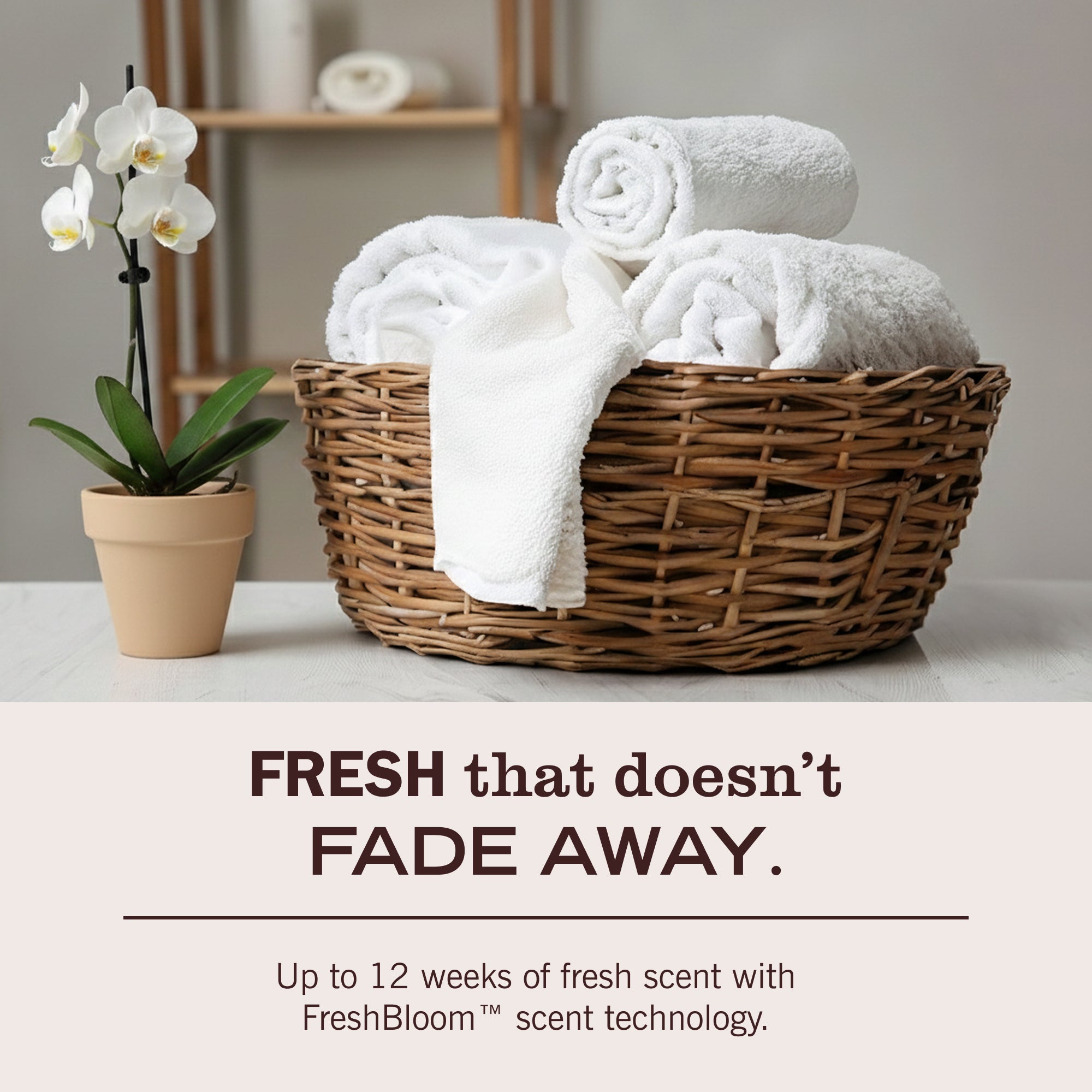 Honeysuckle Scent Booster - View 6