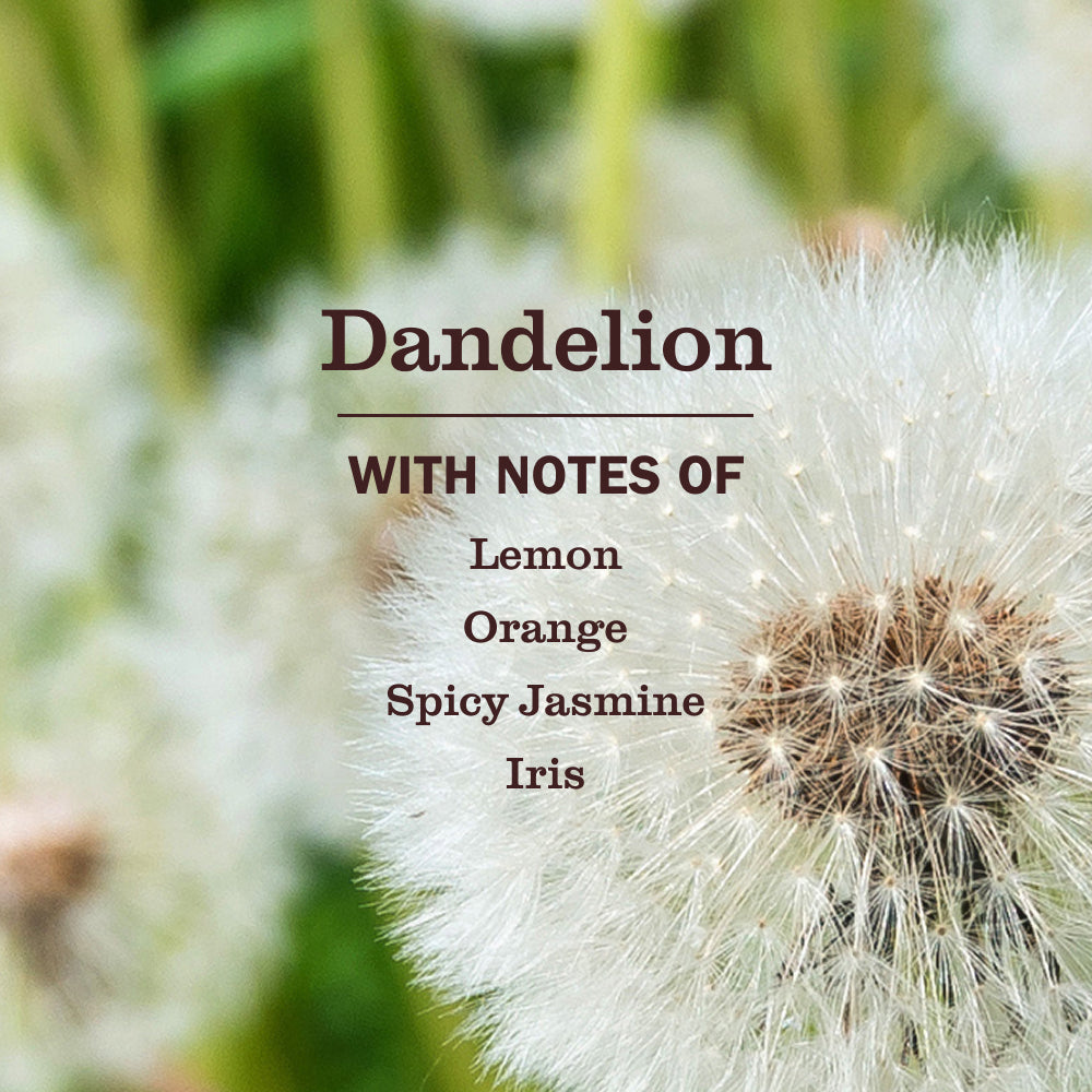Dandelion Multi-Surface Everyday Cleaner 3-count Bundle - View 4