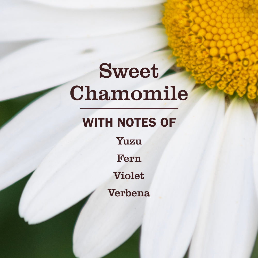 Sweet Chamomile Cat Deodorizing Spritz - View 3
