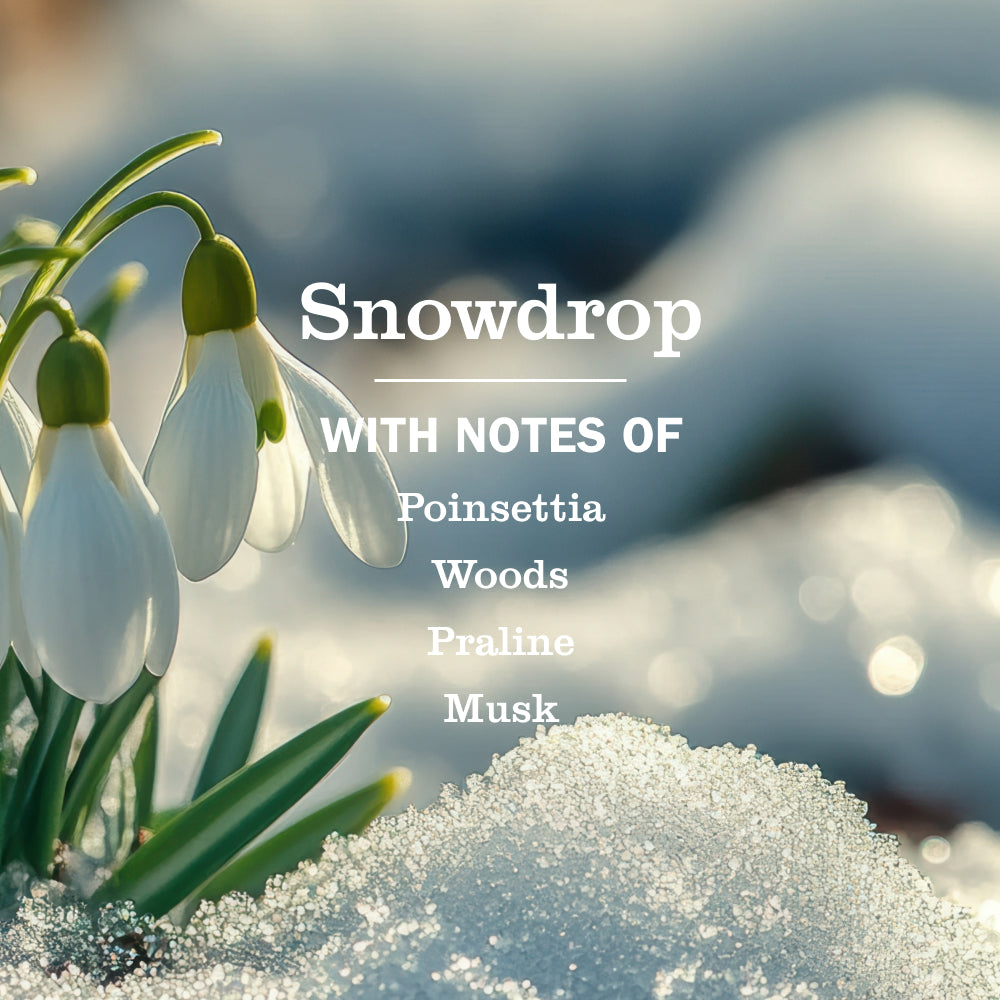 Snowdrop Liquid Hand Soap & Refill Set - View 2