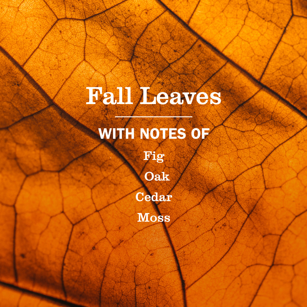 Fall Leaves Dish Soap - View 4