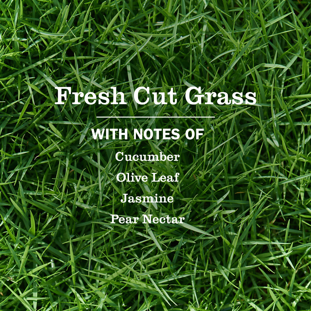 Fresh Cut Grass Plug in Scented Oil Warmer With Refill - View 3