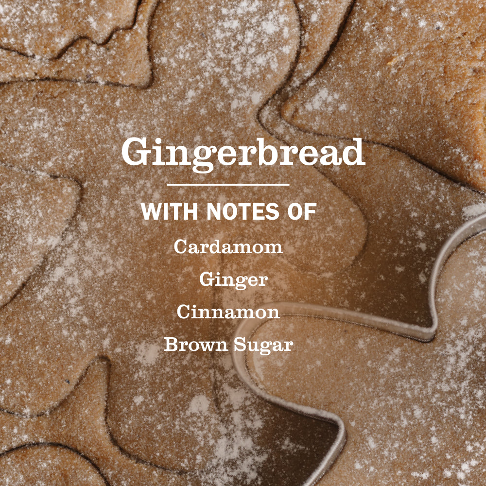 Gingerbread Multi-Surface Everyday Cleaner 3-count Bundle - View 4