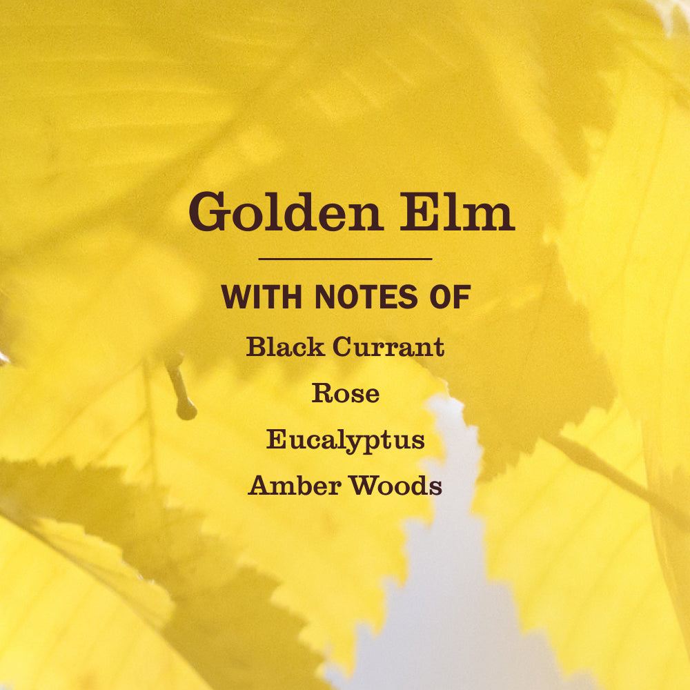 Golden Elm Liquid Hand Soap - View 4