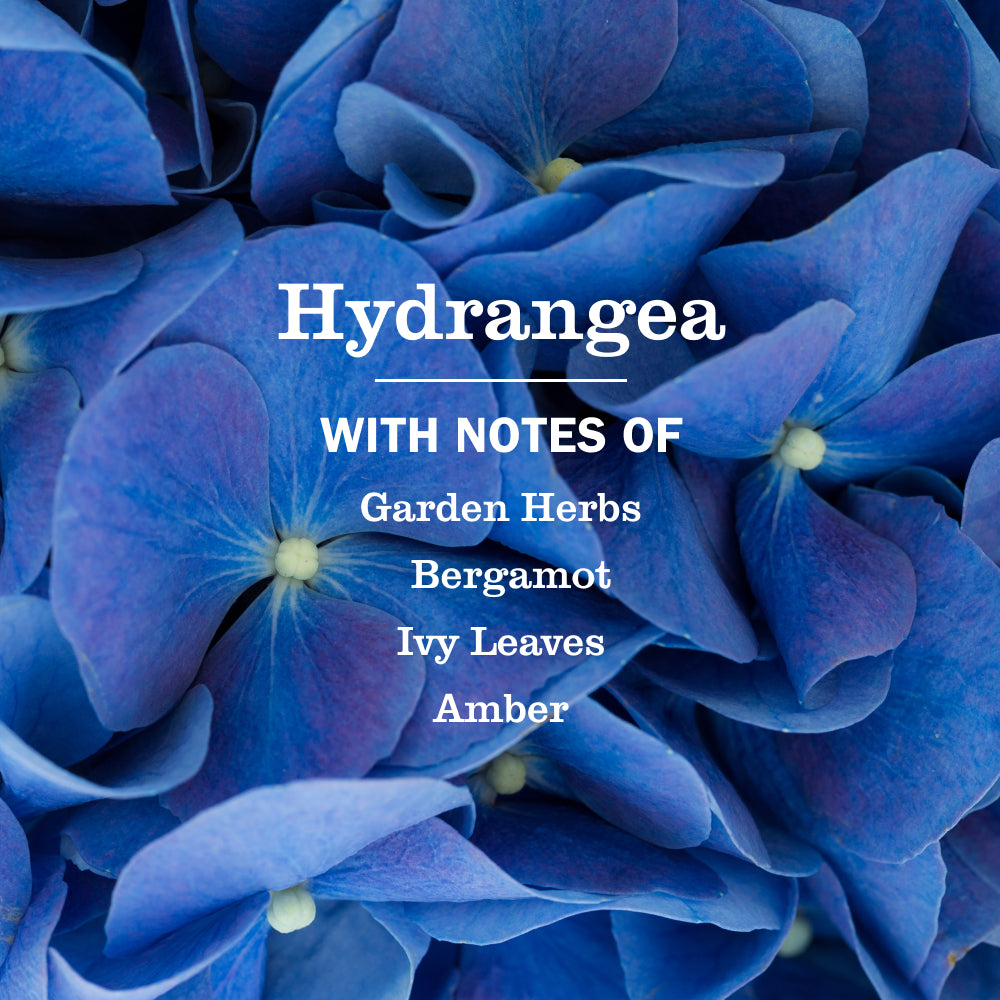 Hydrangea Liquid Hand Soap - View 4
