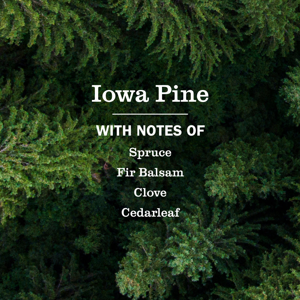 Iowa Pine Liquid Hand Soap 3-count Bundle - View 4