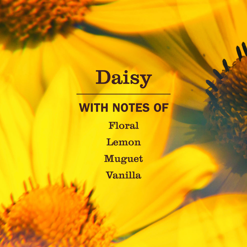 Daisy Multi-Surface Everyday Cleaner 3-count Bundle - View 4