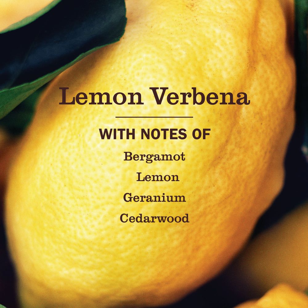 Lemon Verbena Foaming Hand Soap - View 4
