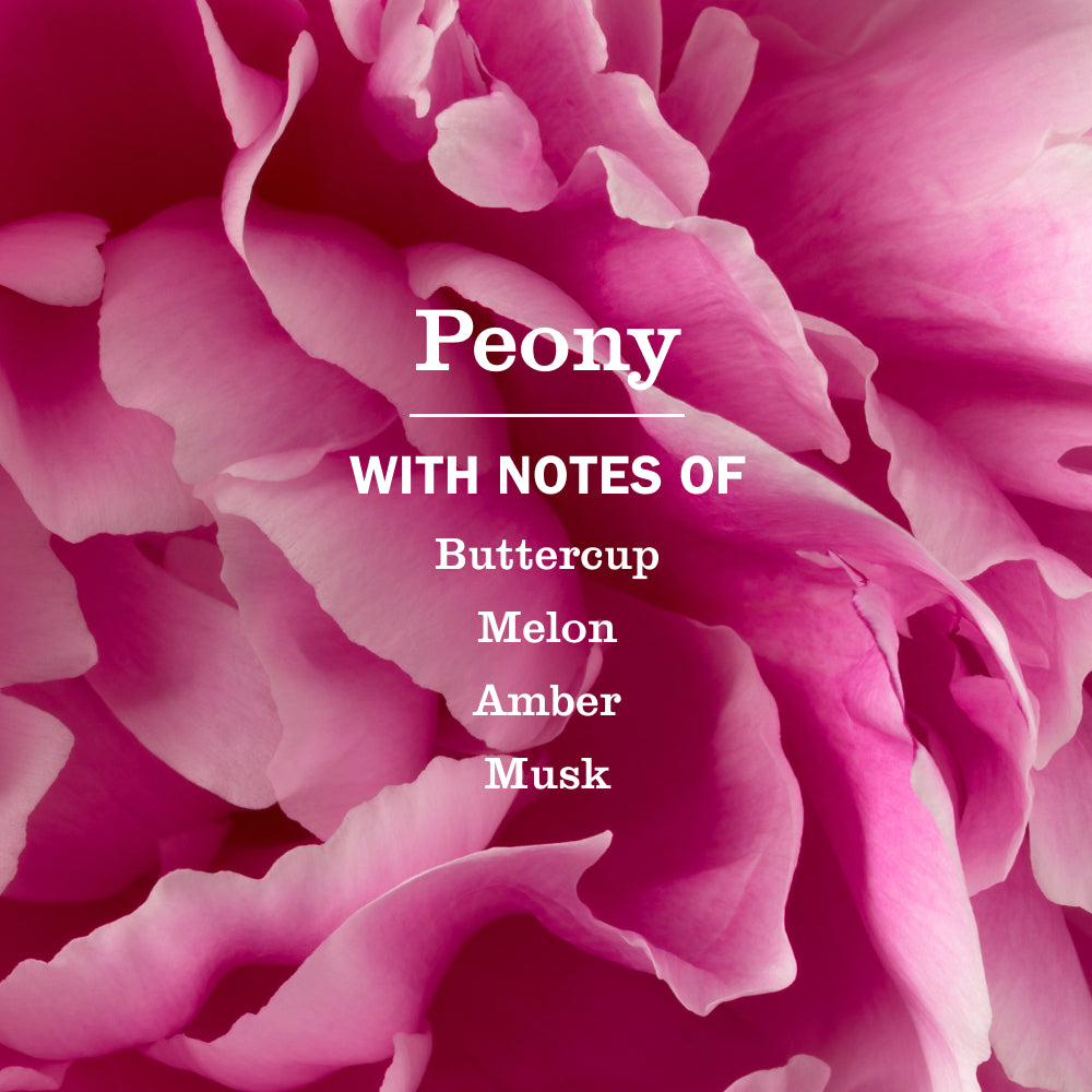 Peony Plug In Scented Oil Refill, 2-Pack - View 5