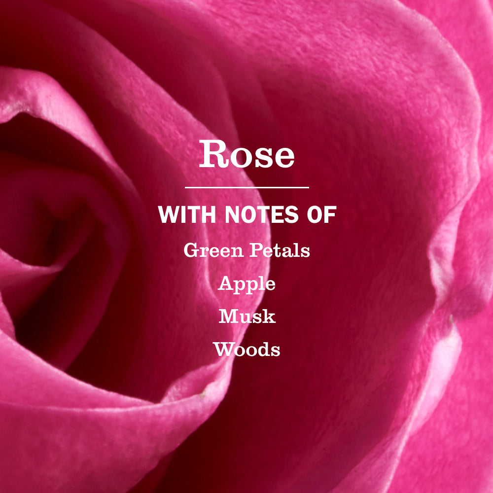 Rose Kitchen Basics Set - View 4